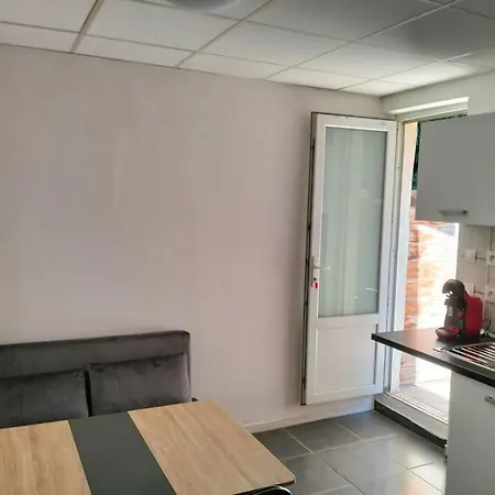 Apartment F1 Bis En Rdc Avec Terrasse *